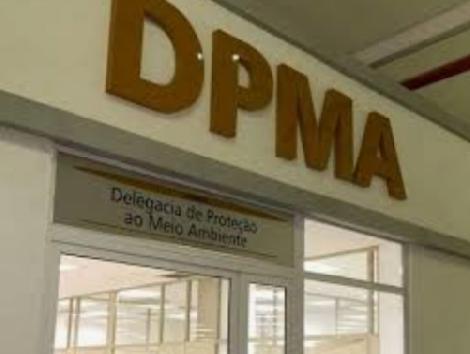 DPMA 2.jfif