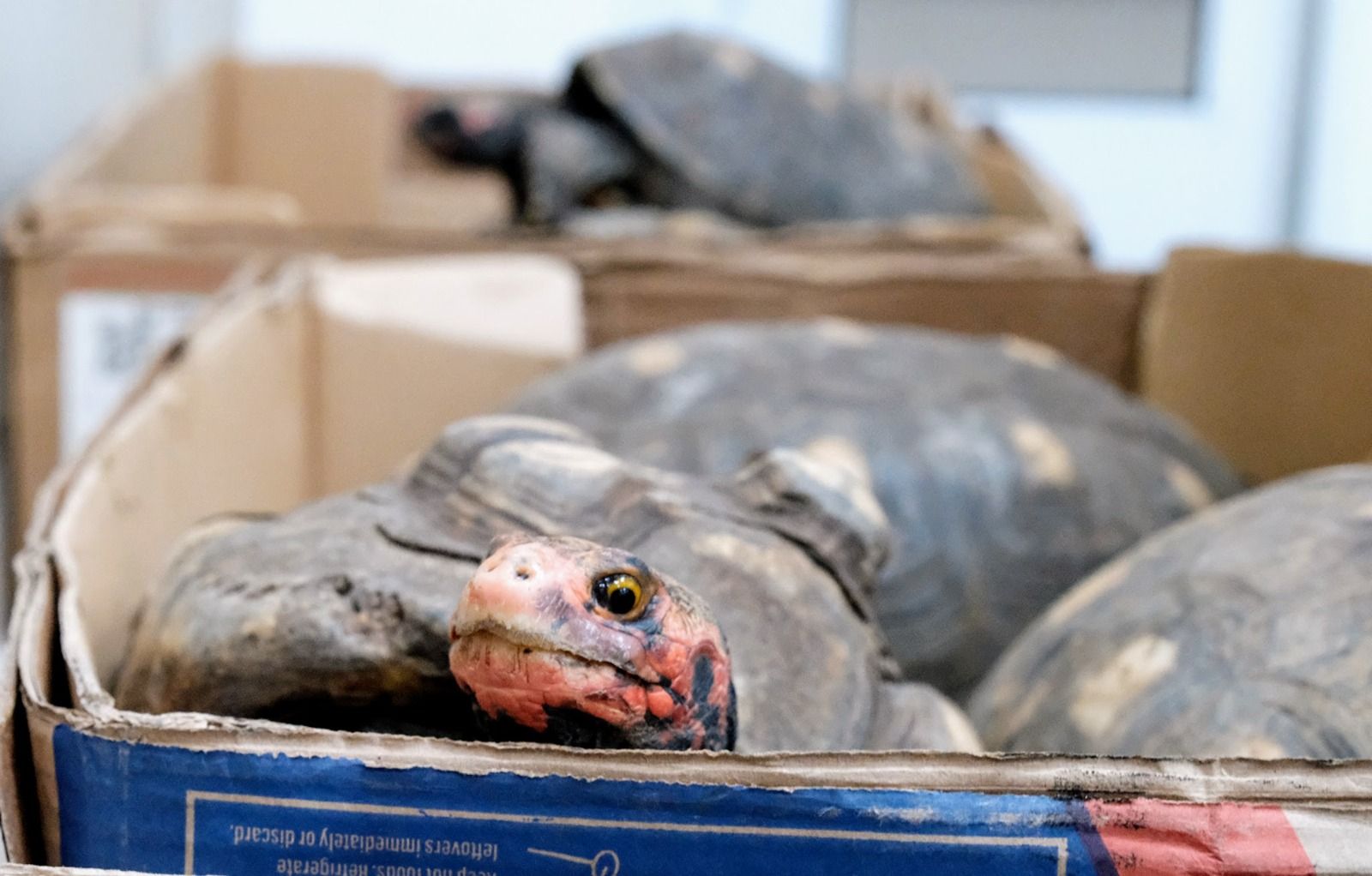 WhatsApp Image 2025-09-17 at 11.13.50 (2).jpeg