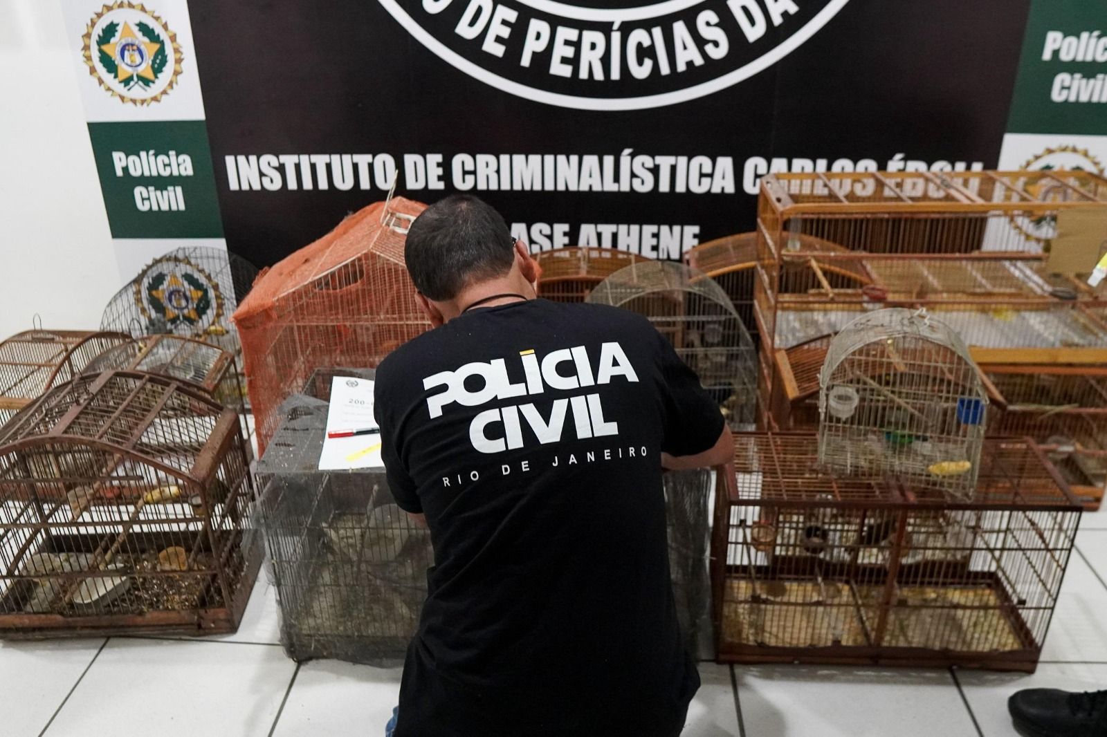 WhatsApp Image 2025-09-17 at 11.13.50.jpeg