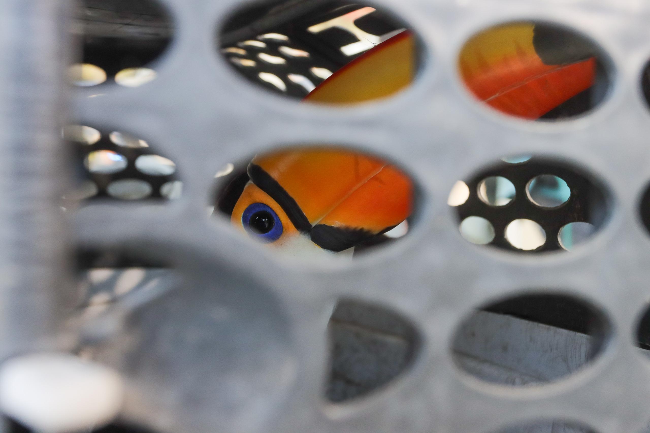 WhatsApp Image 2025-09-17 at 11.14.03.jpeg